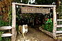 THE FAMOUS LIONS DEN HOTEL